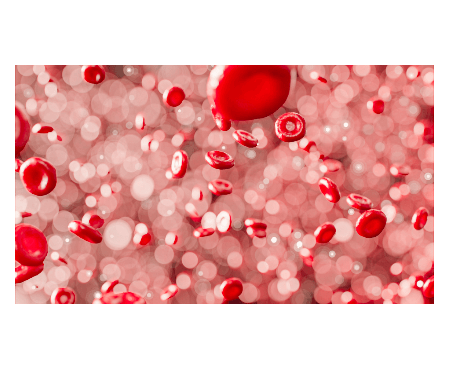 caratterizzazione immunoistomica